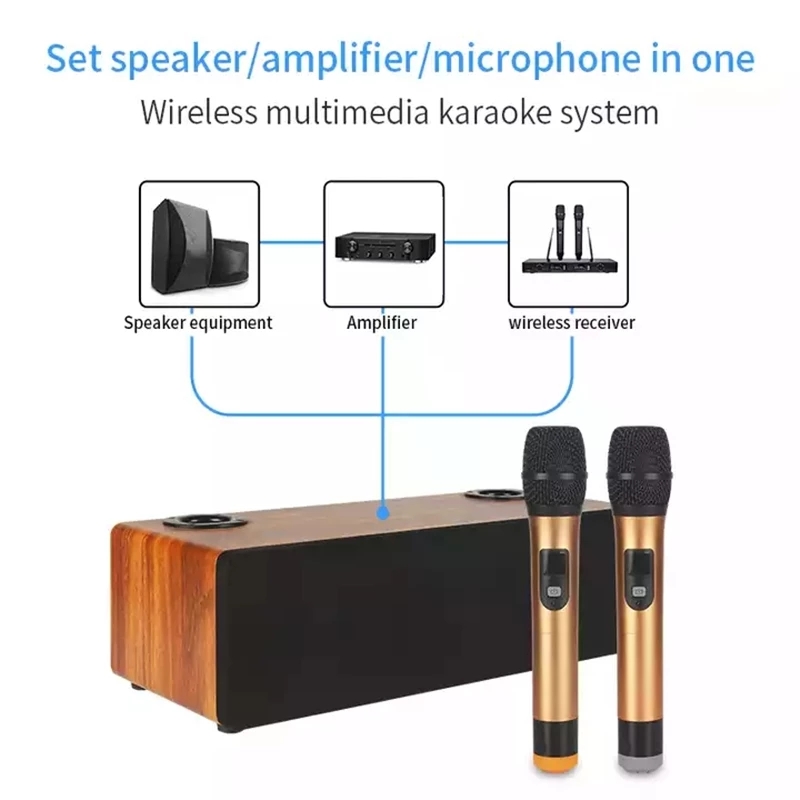 Professional Karaoke Wireless  - Home Cinema Audio System recensione e prezzo