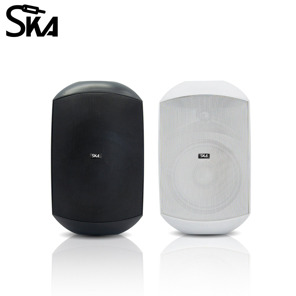 Outdoor Waterproof IP66 Speake - Home Cinema Audio System recensione e prezzo